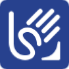 logo-LSE-azul